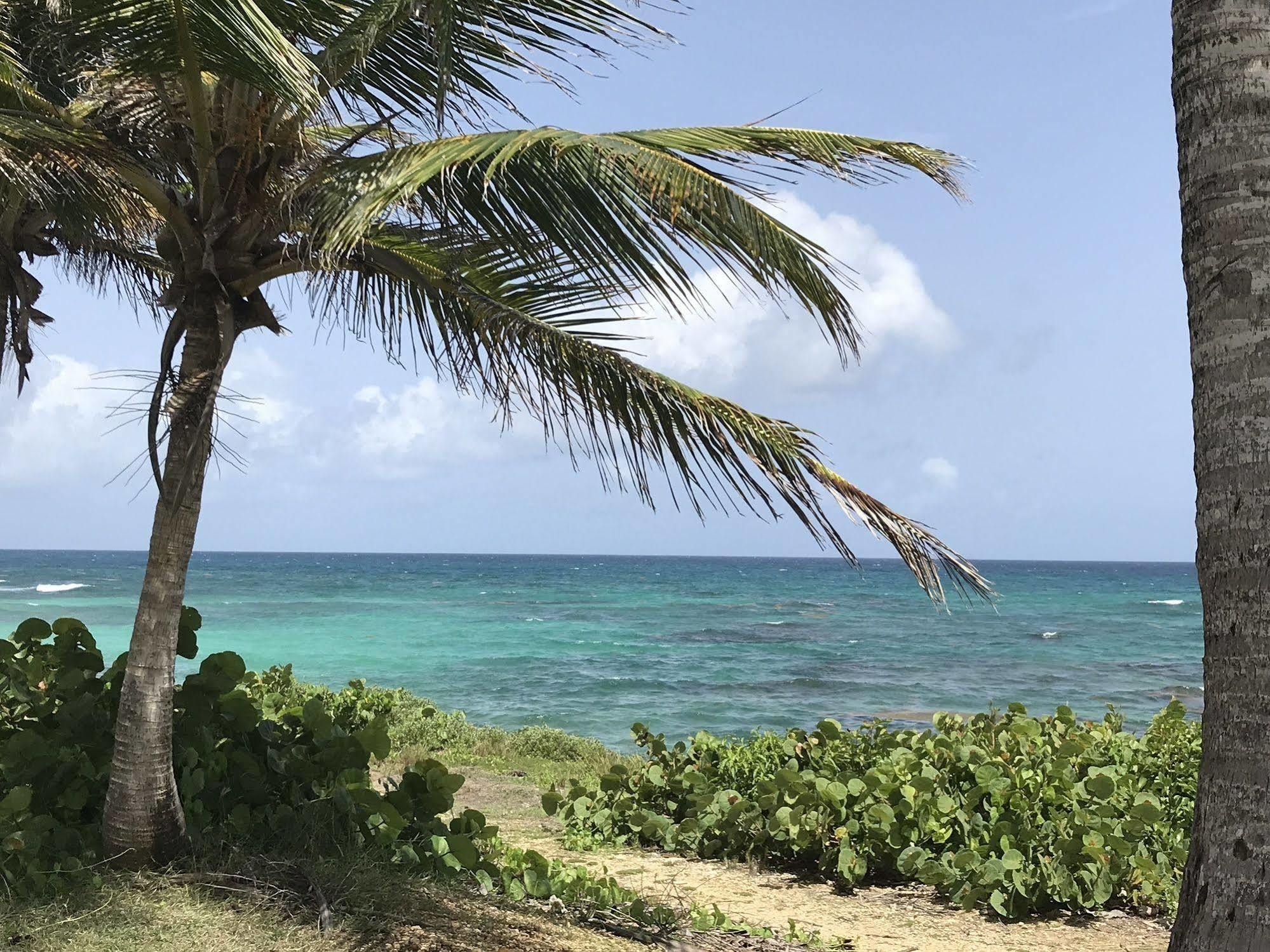 Ti.Maanga Vue Mer Pieds Dans L'Eau Saint-Francois  Exterior foto